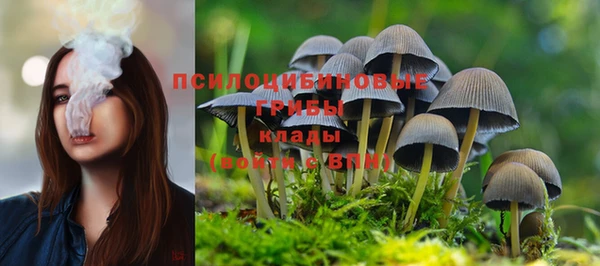 spice Валуйки