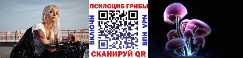 Псилоцибиновые грибы Psilocybe  Каменногорск 