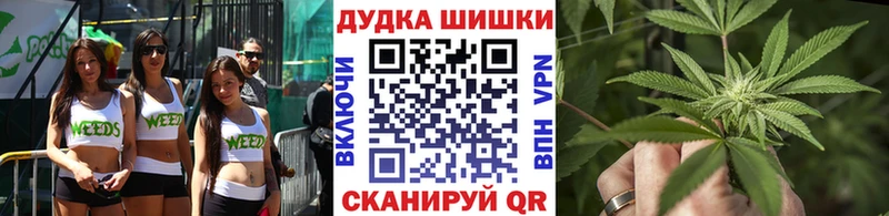 Марихуана планчик  хочу   Каменногорск 